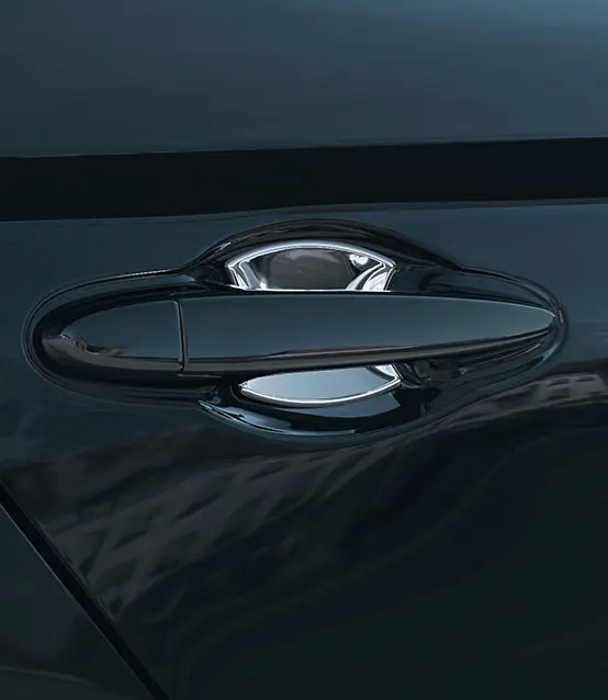 Door Handle Protector